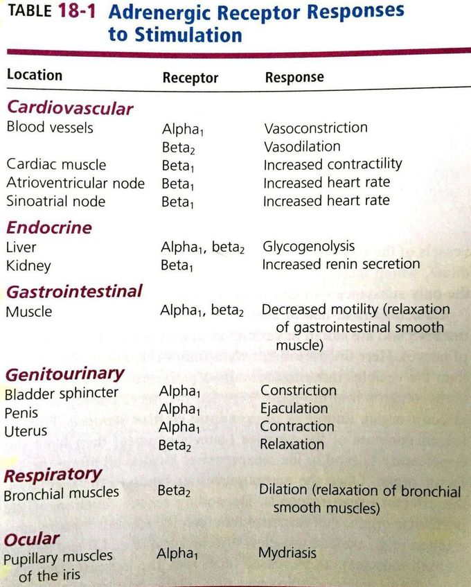 Adrenergic Receptor Responses