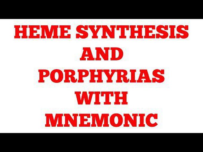 Heme synthesis-Preview