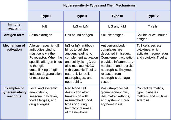 Hypersensitivity type and their mechanism - medizzy