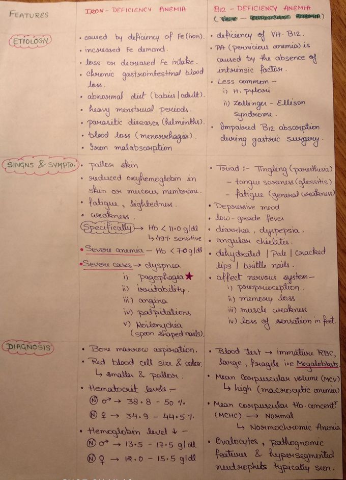 Difference between iron and B¹² deficiency anemia.