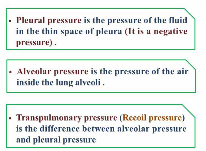 Pleural pressure , alveolar pressure and transpulmonary prussure.🌹🌹