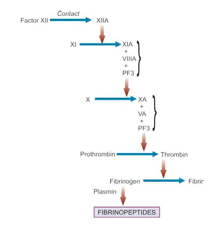 Clotting system