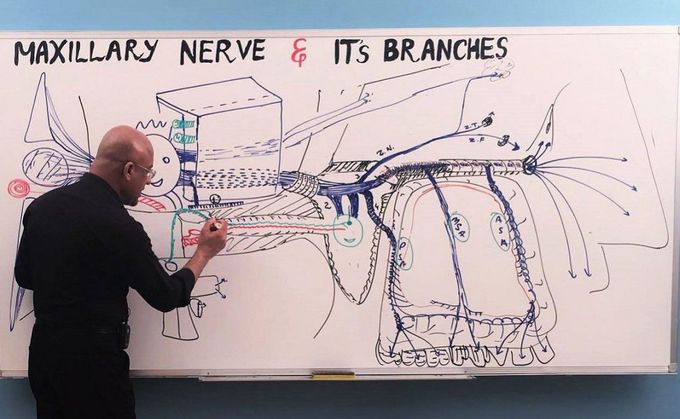 Maxillary nerve and it's branches