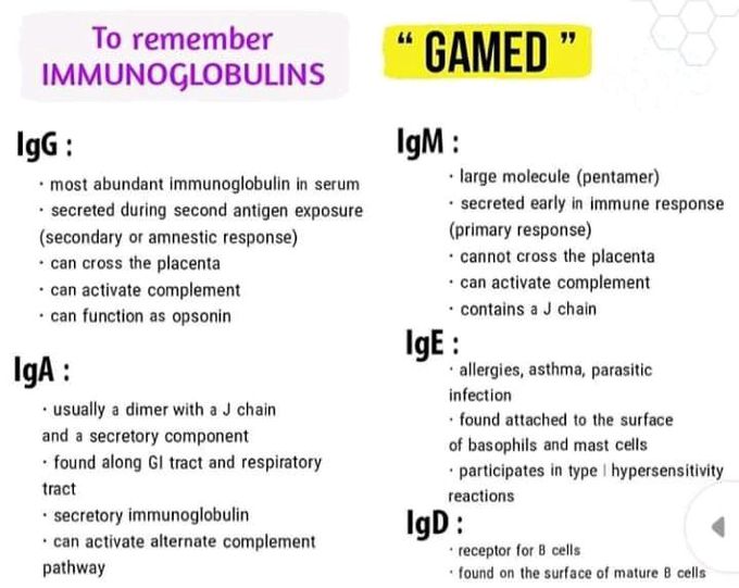 Immunoglobulins simplified