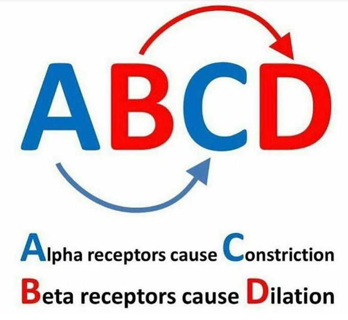 Alpha and Beta Receptors