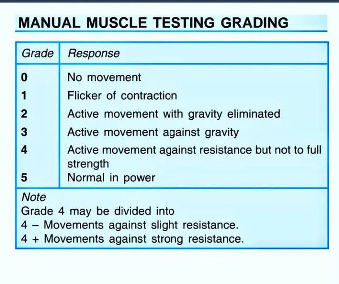 Manual Muscle Testing Grades