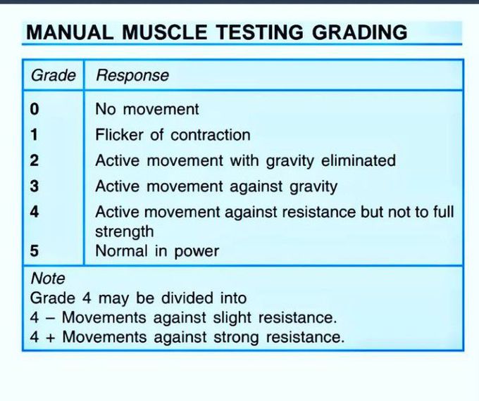 Manual Muscle Strength Testing Scale