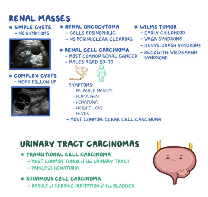 Renal and urinary tract masses
