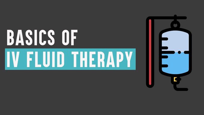 Basics of Intravenous Fluid Therapy