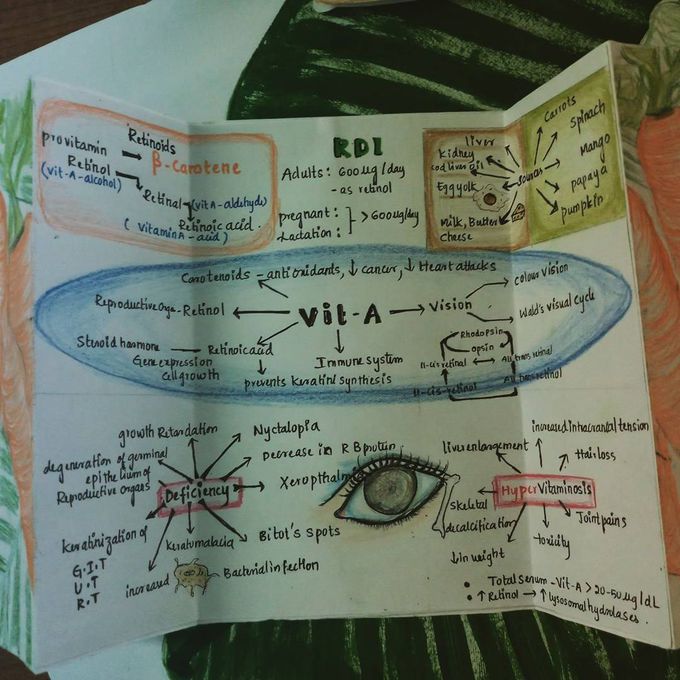 vitamin A  card (flipped)