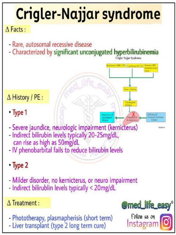Crigler-najjar Syndrome