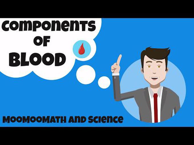 Composition of blood