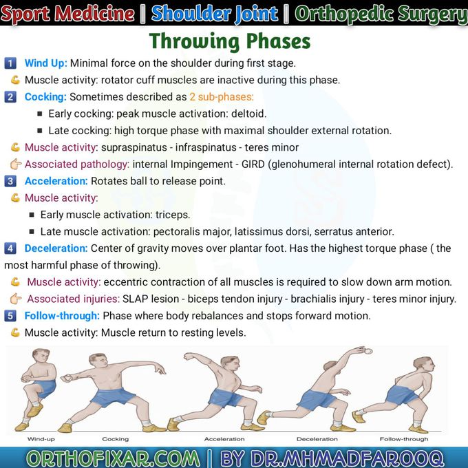 Throwing phases MEDizzy
