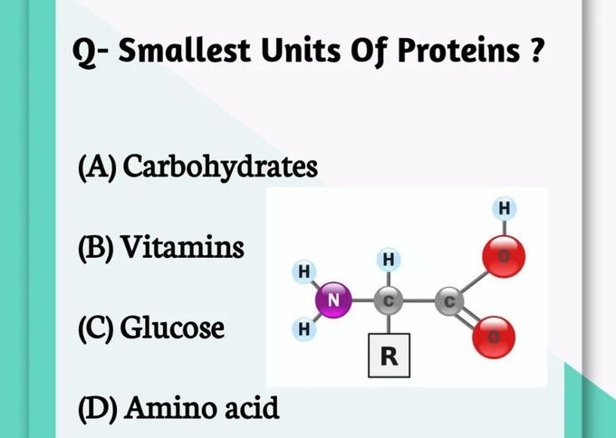 Smallest Unit of Protein