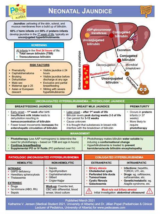 Neonatal jaundice - MEDizzy