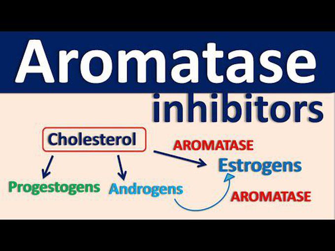Aromatase Inhibitors