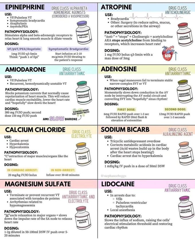 Pharmacology Review