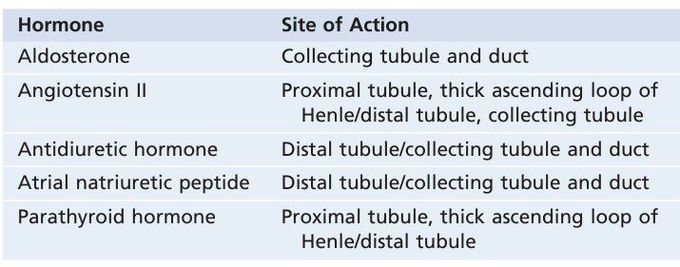 Renal hormones