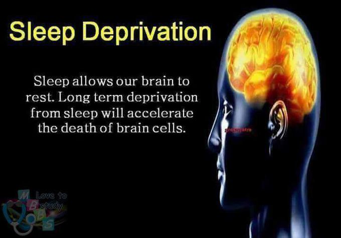 Facts About Human Brain