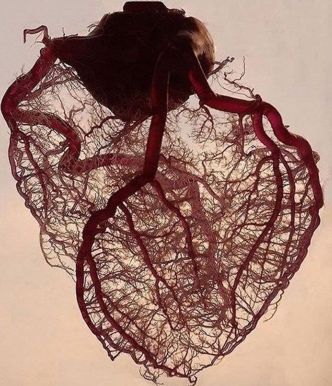 Heart that never hardens and temper that never tries and touch that never hurts 💓