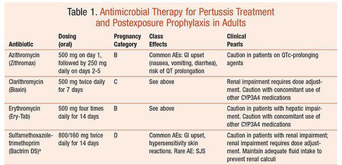 Antimicrobial therapy for pertussis treatment