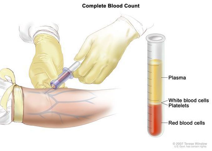 Blood Count Tests
