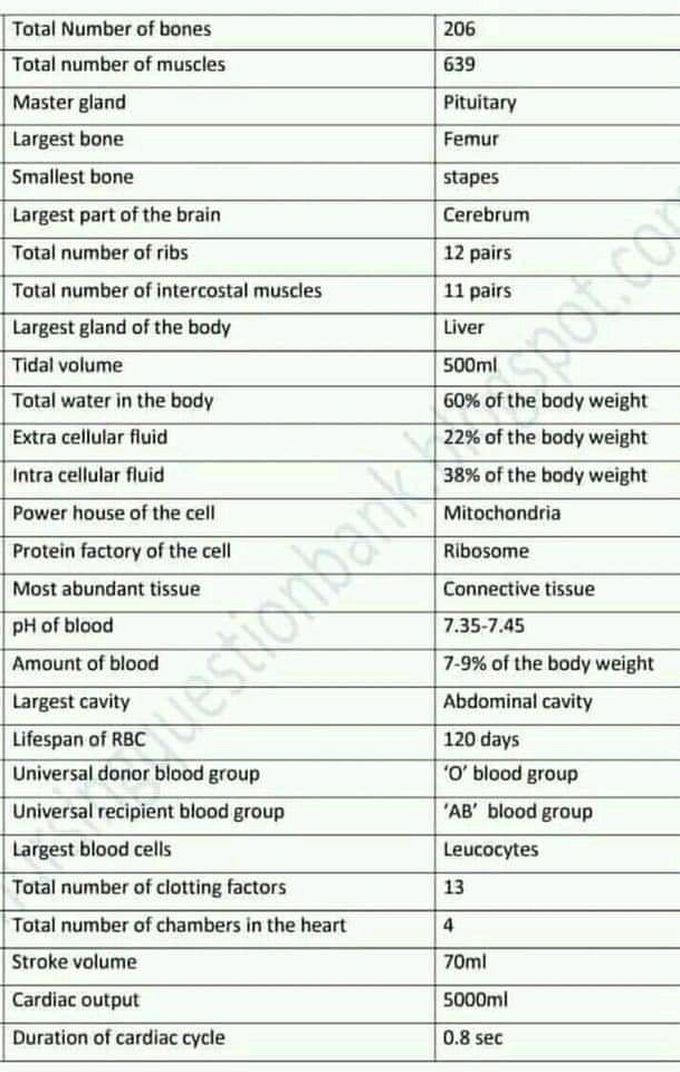 Some important information about medicine