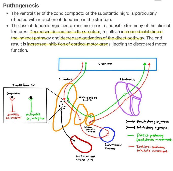 Parkinson's Disease I