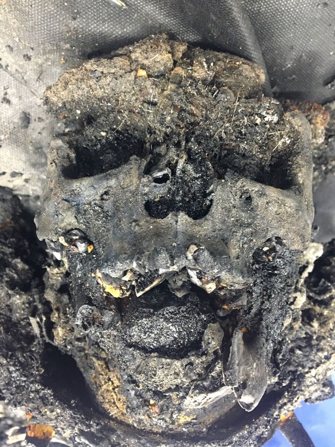 Burned skull