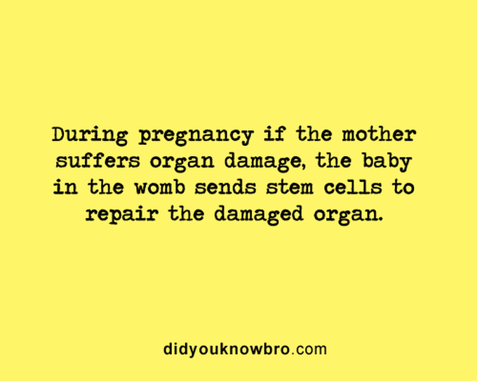Mother Nature