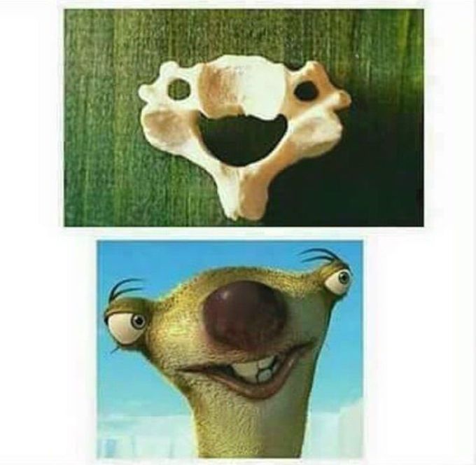 😂