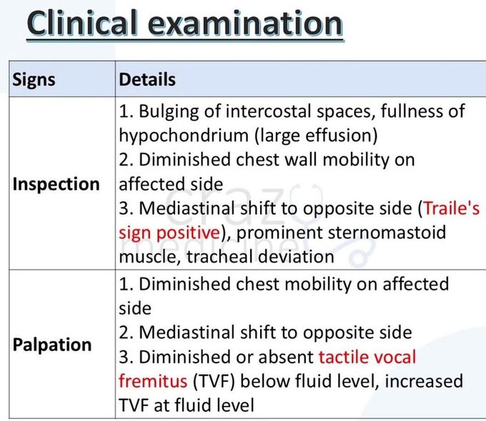 Pleural Effusion VIII