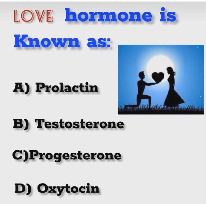 Love Hormone