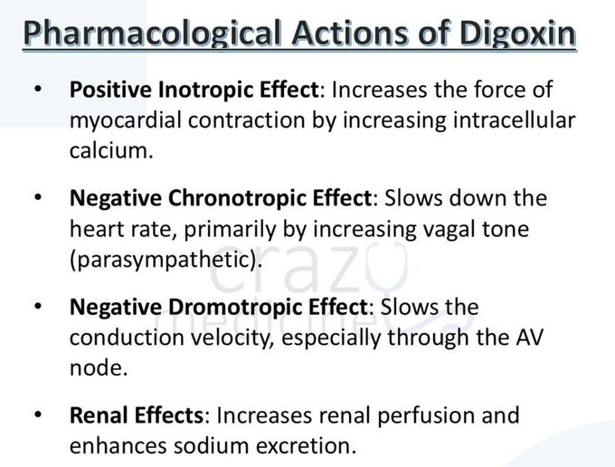 Digoxin II