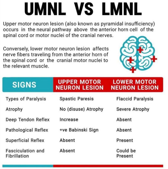 UMNL VS LMNL