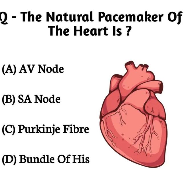 Natural Pacemaker