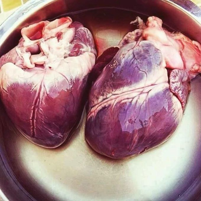 Human heart ❤