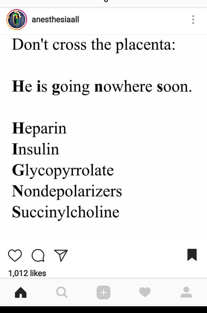 Placenta