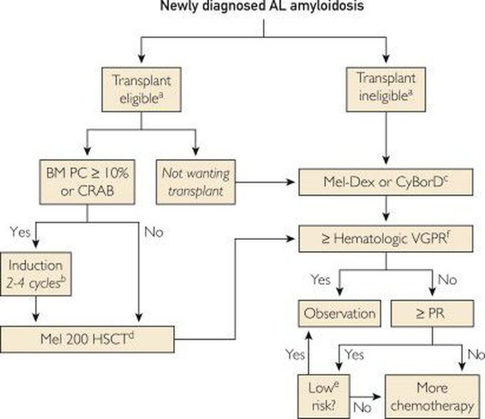 Treatment for Amyloidosis