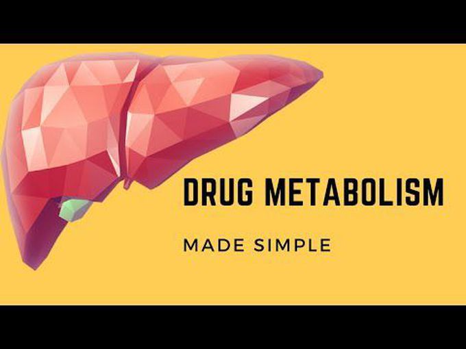 Brief animated overview of Drug metabolism