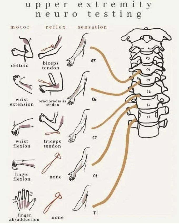 Upper Extremity Neuro-testing