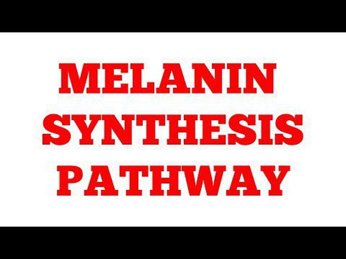 Synthesis of Melanin