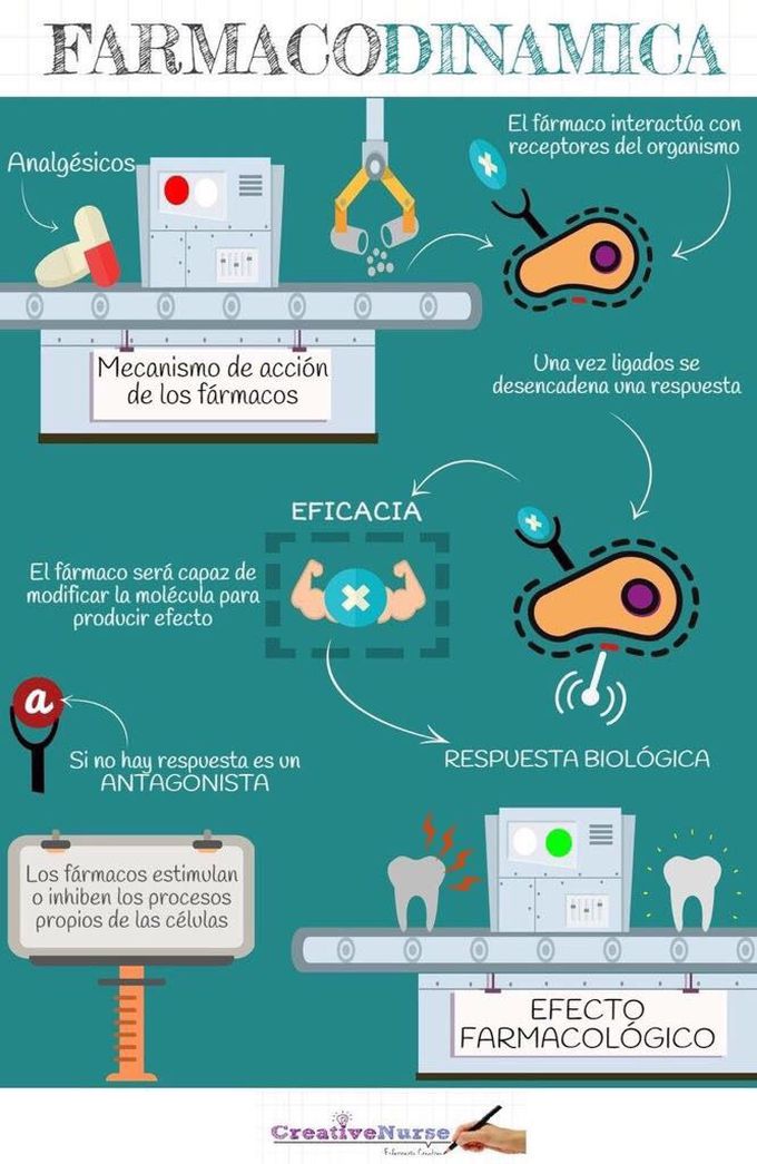 Una forma fácil de entender la farmacodinamia / An easy way to understand pharmacodynamics