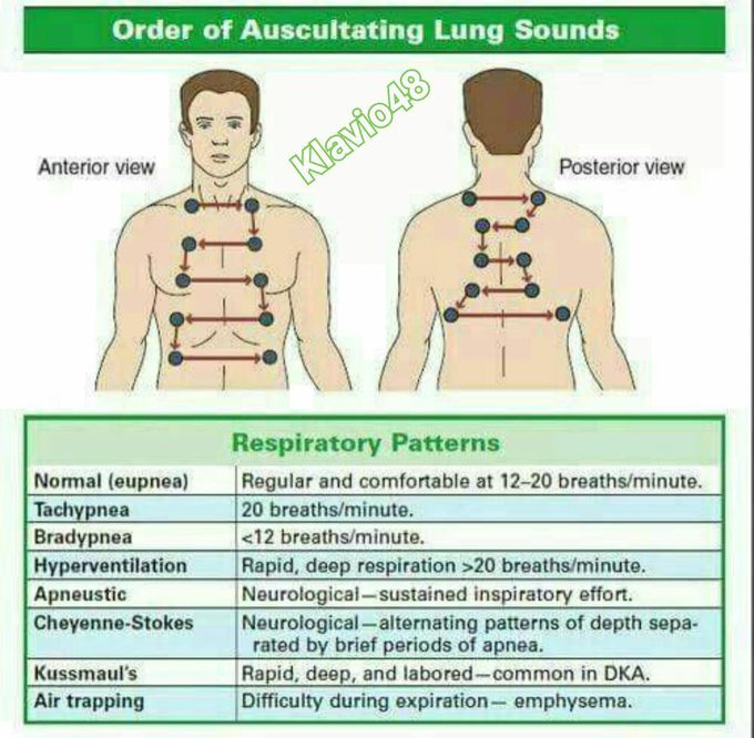 Ausculating Lung Sounds