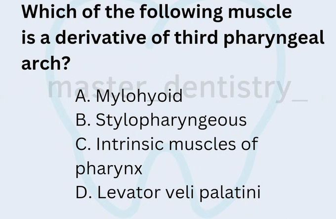 Identify the Muscle