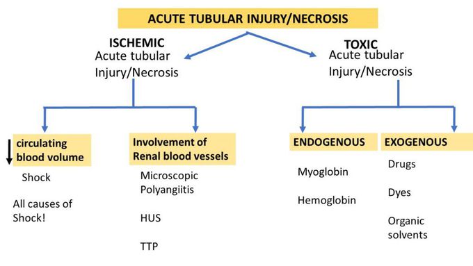How is acute tubular necrosis treated?