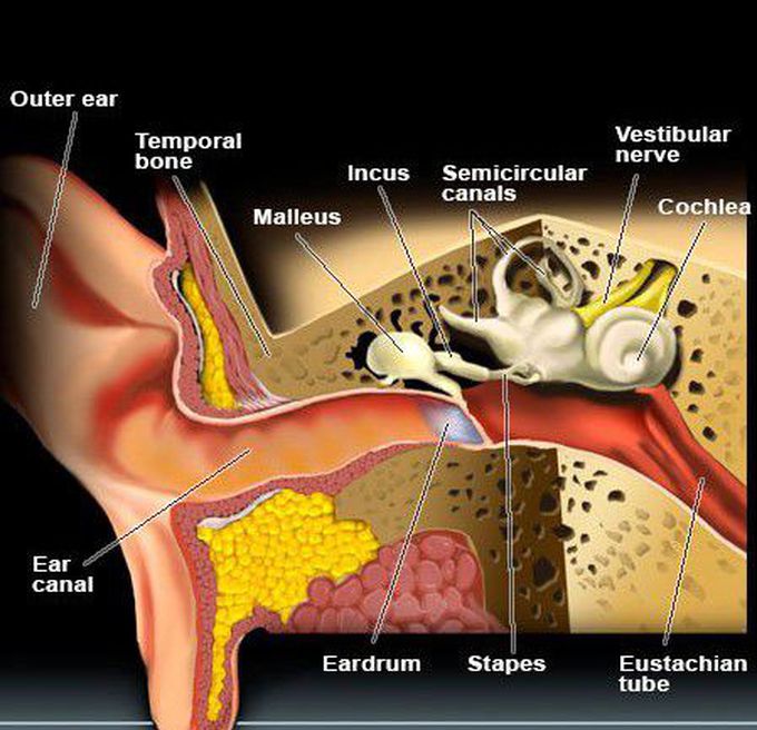 Infectious myringitis