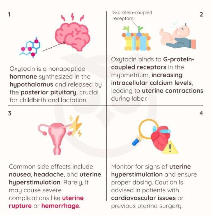 Oxytocin