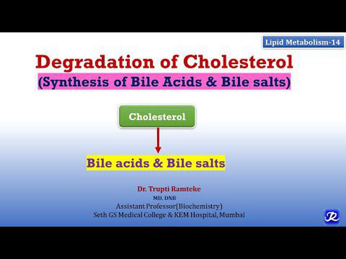 Descriptive review of degradation of Cholesterol