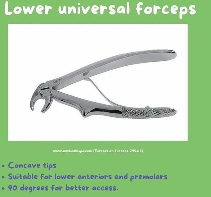 Lower Universal Forceps